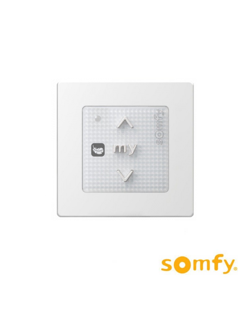 Moteur Solaire Somfy RS100 IO