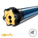 Motorisation Somfy™ OXIMO IO radio à télécommande