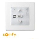 Télécommande Somfy™ IO RS100 Plume
